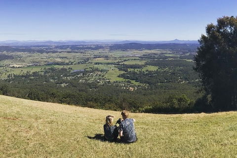Mt Tamborine - Hinterland Wonders Self Guided - Accommodation Bookings 4