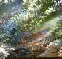 Mossman Gorge Adventure Day - Accommodation Bookings