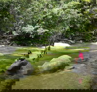 Daintree Dreaming Traditional Aboriginal Fishing from Cairns or Port Douglas - Accommodation Bookings