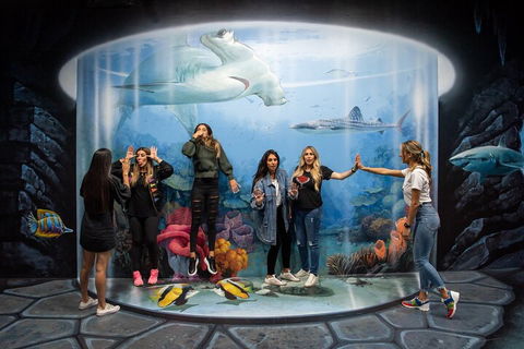 ArtVo Immersive Gallery Experience - Accommodation Bookings 2