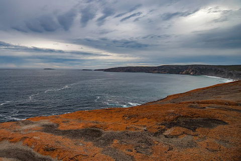 Kangaroo Island Luxury Small Group 'Flinders Chase Focus' Full Day Tour - Accommodation Bookings 0