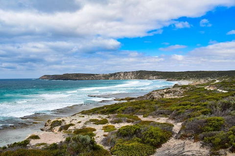 Kangaroo Island Luxury Small Group 'East End Explorer' Full Day Tour - Accommodation Bookings 0