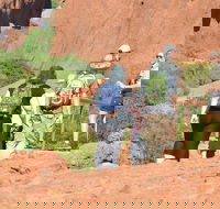 Afternoon Kata Tjuta Small Group Tour - Accommodation Bookings