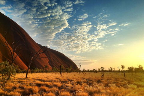 Highlights Of Uluru Including Sunrise And Breakfast - Accommodation Bookings 0