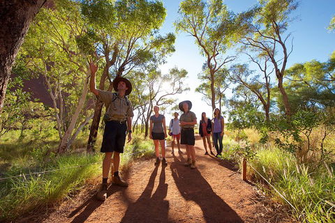 Uluru Small Group Tour Including Sunset - Accommodation Bookings 0