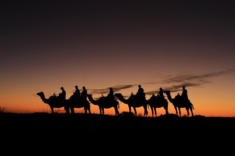 Uluru Small-Group Tour By Camel At Sunrise Or Sunset - Accommodation Bookings 4