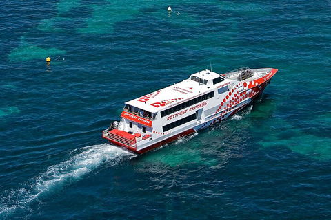Discover Rottnest With Ferry & Bus Tour From Perth Or Fremantle - Accommodation Bookings 3