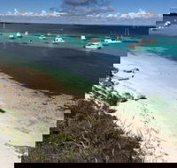 Experience Rottnest with Ferry  Bike Hire from Perth or Fremantle - Accommodation Bookings