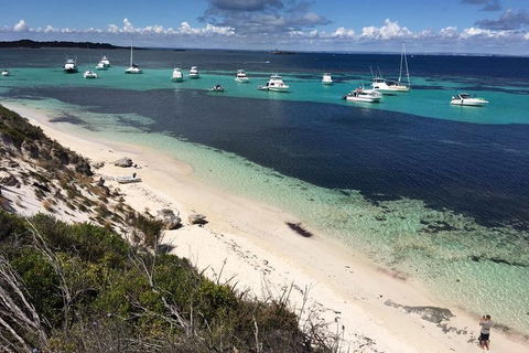 Experience Rottnest With Ferry & Bike Hire From Perth Or Fremantle - Accommodation Bookings 0