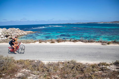Experience Rottnest With Ferry & Bike Hire From Perth Or Fremantle - Accommodation Bookings 2