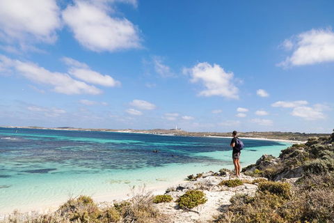 Experience Rottnest With Ferry & Bike Hire From Perth Or Fremantle - Accommodation Bookings 3