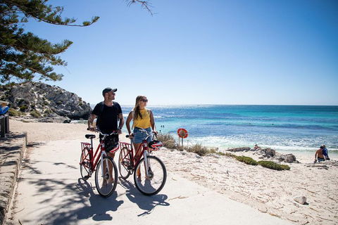 Experience Rottnest With Ferry & Bike Hire From Perth Or Fremantle - Accommodation Bookings 4