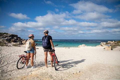 Experience Rottnest With Ferry & Bike Hire From Perth Or Fremantle - Accommodation Bookings 5