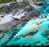 Rottnest Island Round-Trip Ferry from Perth or Fremantle - Accommodation Bookings