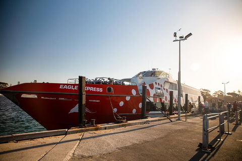 Rottnest Island Round-Trip Ferry From Perth Or Fremantle - Accommodation Bookings 2