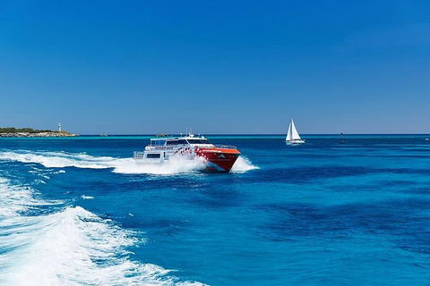 Rottnest Island Round-Trip Ferry From Perth Or Fremantle - Accommodation Bookings 4