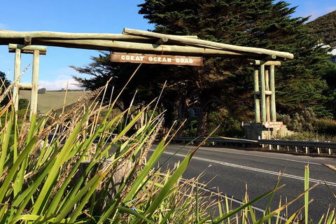 2-Day Great Ocean Road, Mornington Peninsula And Phillip Island Tour - Accommodation Bookings 4