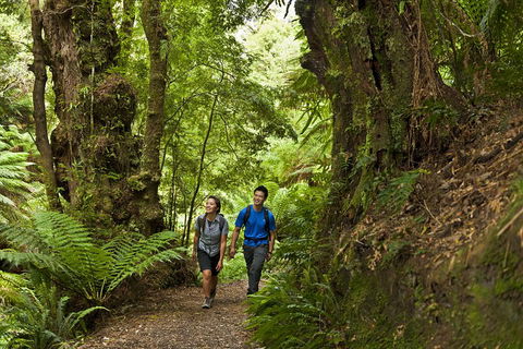 2-Day Great Ocean Road, Mornington Peninsula And Phillip Island Tour - Accommodation Bookings 5