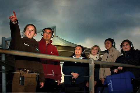 Phillip Island Penguin Parade Express Tour From Melbourne - Accommodation Bookings 1