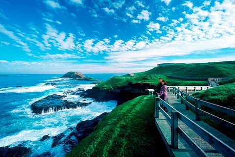 Phillip Island Penguin Parade Express Tour From Melbourne - Accommodation Bookings 4