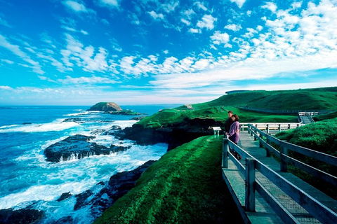 Puffing Billy, Moonlit Sanctuary & Penguins Day Tour - Accommodation Bookings 2