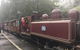 Puffing Billy, Moonlit Sanctuary & Penguins Day Tour - thumb 4