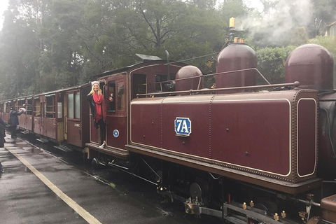 Puffing Billy, Moonlit Sanctuary & Penguins Day Tour - Accommodation Bookings 4