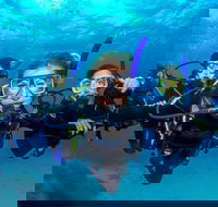 Great Barrier Reef Diving and Snorkeling Cruise from Cairns - Accommodation Bookings