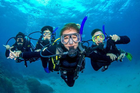 Great Barrier Reef Diving And Snorkeling Cruise From Cairns - Accommodation Bookings 0