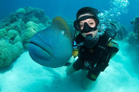 Great Barrier Reef Diving And Snorkeling Cruise From Cairns - Accommodation Bookings 2