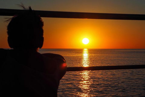 Roebuck Bay Snubfin Dolphin Cruise - Accommodation Bookings 4