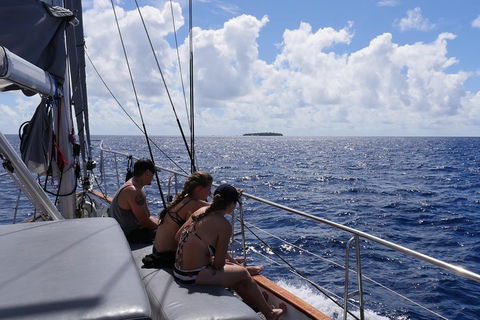 Ocean Free Green Island & Great Barrier Reef Snorkel Cruise, Cairns 25 Guests - Accommodation Bookings 4