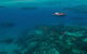 Ocean Free Green Island & Great Barrier Reef Snorkel Cruise, Cairns 25 Guests - thumb 5