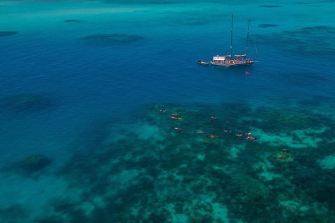Ocean Free Green Island & Great Barrier Reef Snorkel Cruise, Cairns 25 Guests - Accommodation Bookings 5