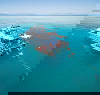Ocean Freedom Great Barrier Reef Personal Luxury Snorkel  Dive Cruise Cairns - Accommodation Bookings
