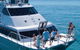 Ocean Freedom Great Barrier Reef Personal Luxury Snorkel & Dive Cruise, Cairns - thumb 1