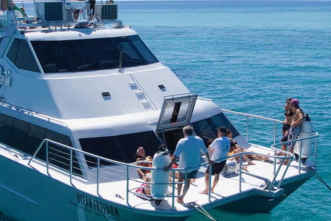 Ocean Freedom Great Barrier Reef Personal Luxury Snorkel & Dive Cruise, Cairns - Accommodation Bookings 1