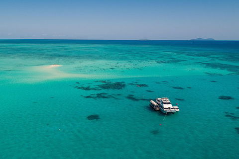Ocean Freedom Great Barrier Reef Personal Luxury Snorkel & Dive Cruise, Cairns - Accommodation Bookings 2