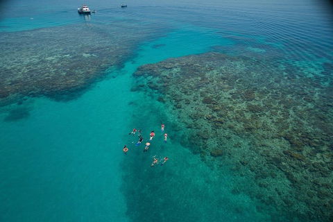 Ocean Freedom Great Barrier Reef Personal Luxury Snorkel & Dive Cruise, Cairns - Accommodation Bookings 3