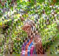 5 Day Australia Retreat Queensland Daintree - Accommodation Bookings