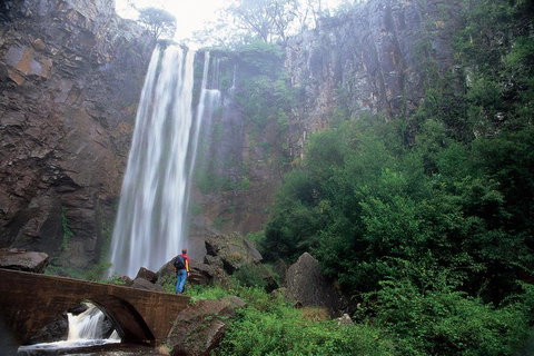 Brisbane Day In The Country Full-Day Small-Group Tour With Lunch - Accommodation Bookings 3