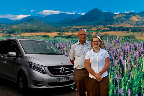 Brisbane Day In The Country Full-Day Small-Group Tour With Lunch - Accommodation Bookings 4