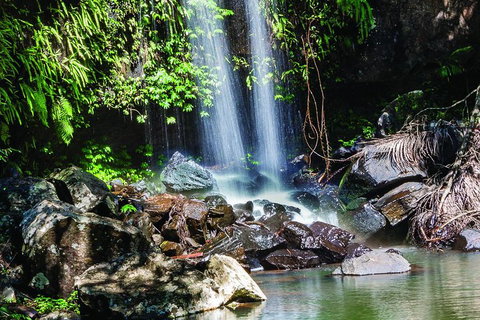 Full Day Small Group Luxury Tour To Tamborine Mountain - Accommodation Bookings 0