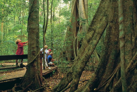 Full Day Small Group Luxury Tour To Tamborine Mountain - Accommodation Bookings 1