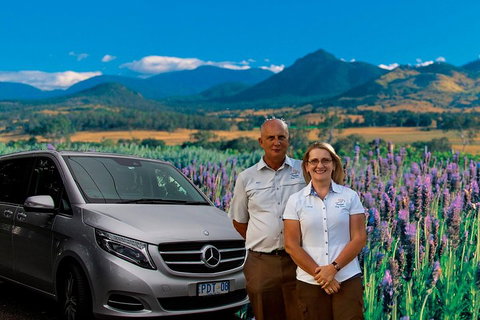 Full Day Small Group Luxury Tour To Tamborine Mountain - Accommodation Bookings 3