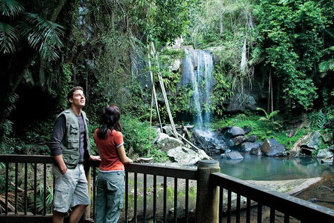 Full Day Small Group Luxury Tour To Tamborine Mountain - Accommodation Bookings 4