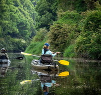 Byron Bay Rainforest Fishing - Accommodation Bookings