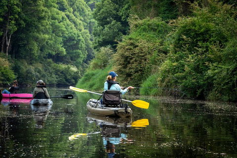 Byron Bay Rainforest Fishing - Accommodation Bookings 0