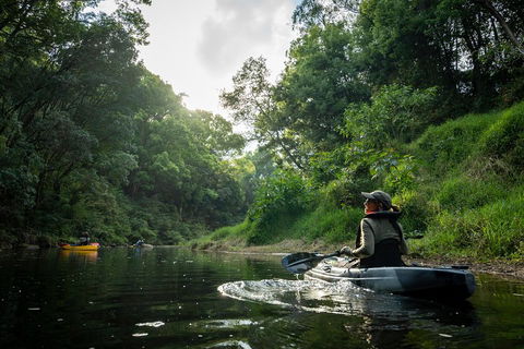Byron Bay Rainforest Fishing - Accommodation Bookings 1