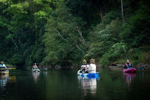 Byron Bay Rainforest Fishing - Accommodation Bookings 2
